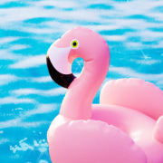 summer must-haves