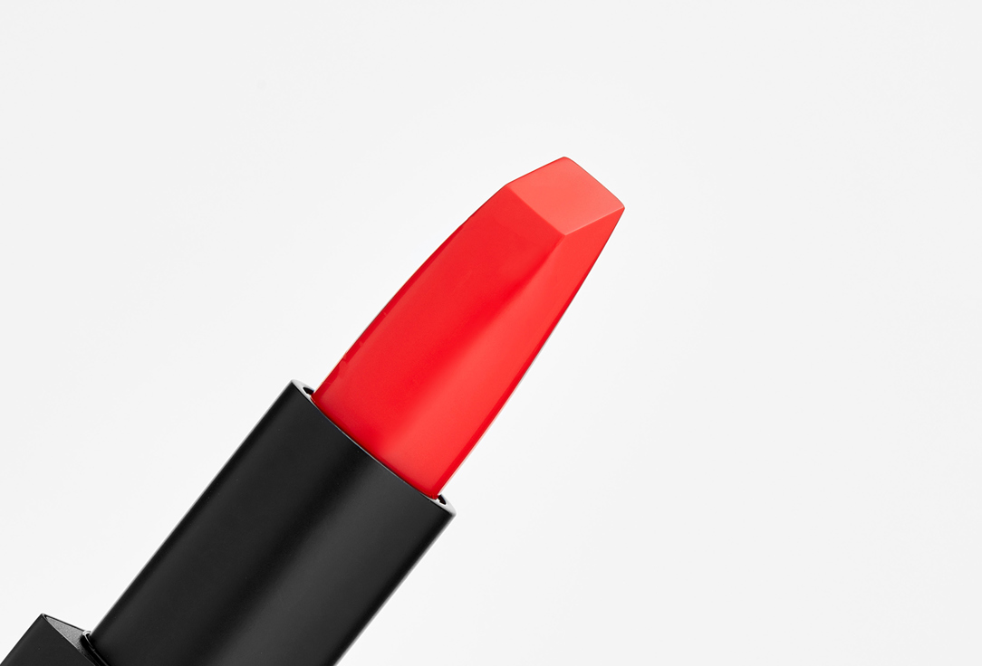 Shiseido Matte lipstick Modernmatte