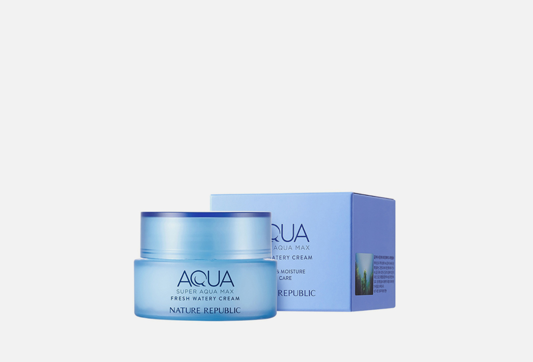 Nature Republic Face Cream Super Aqua Max Fresh