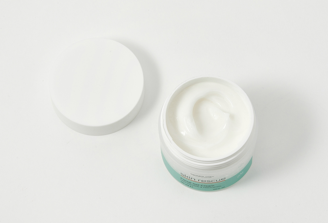 SKINOLOGY Face gel cream Skin rescue niacinamide & panthenol