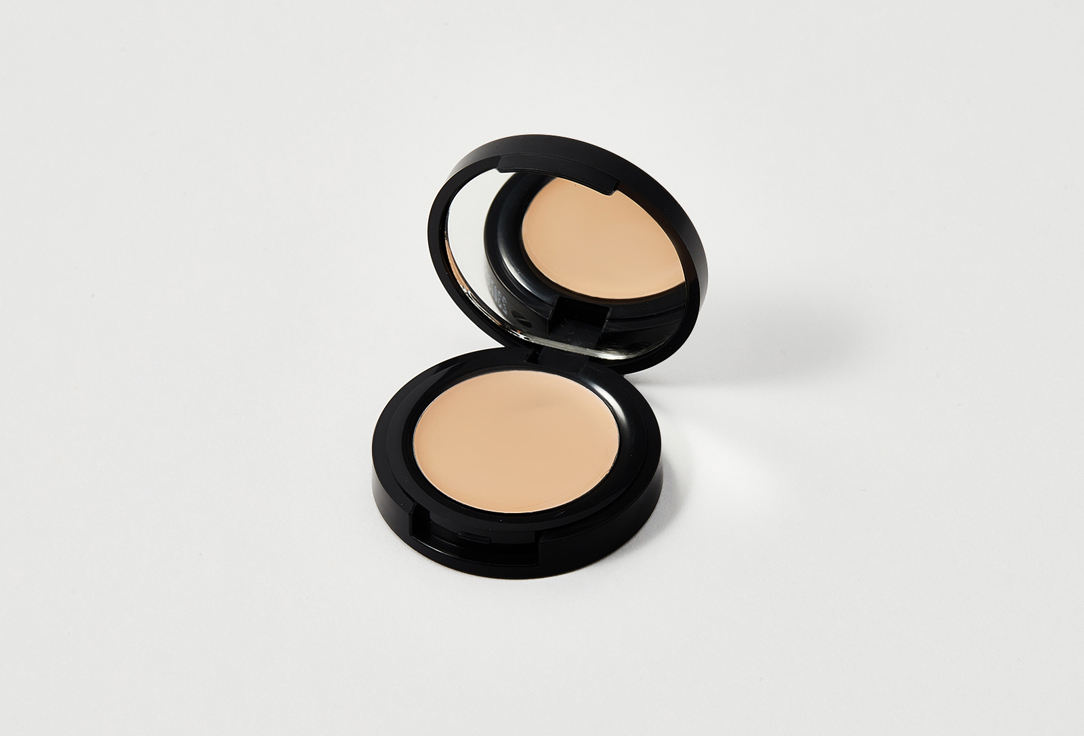 Radiant Professional Make-Up High Density Creamy Concealer High Coverage