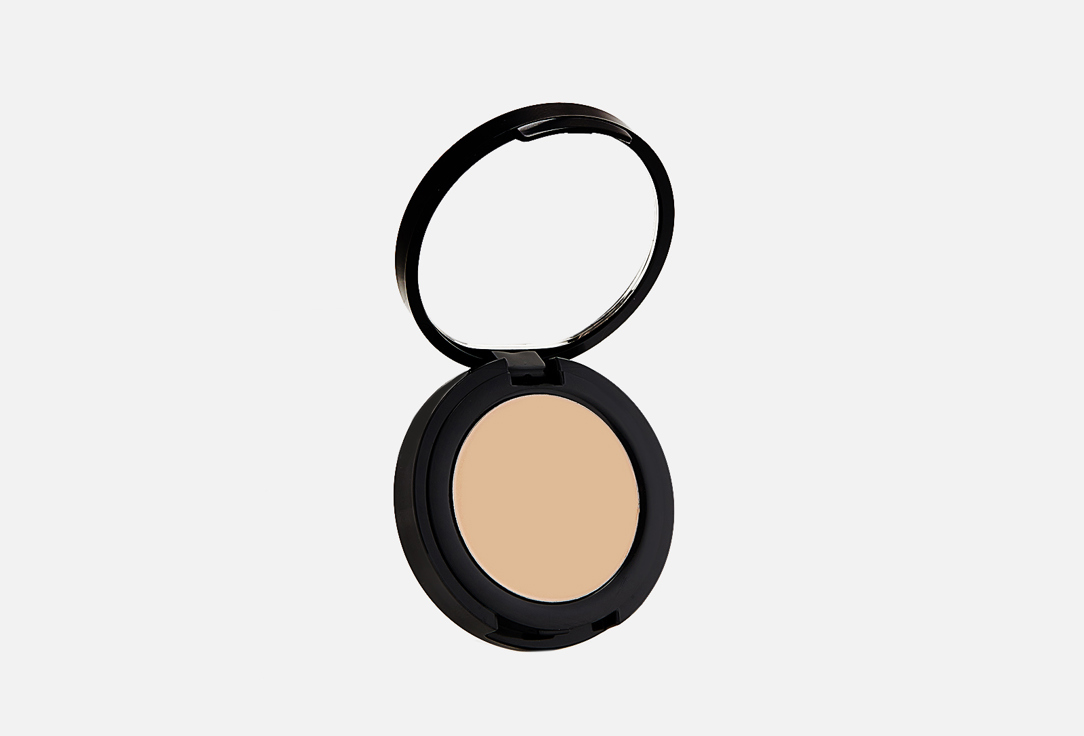 Radiant Professional Make-Up High Density Creamy Concealer High Coverage