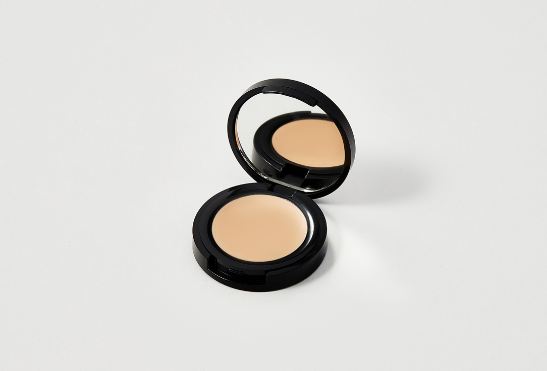 Radiant Professional Make-Up High Density Creamy Concealer High Coverage