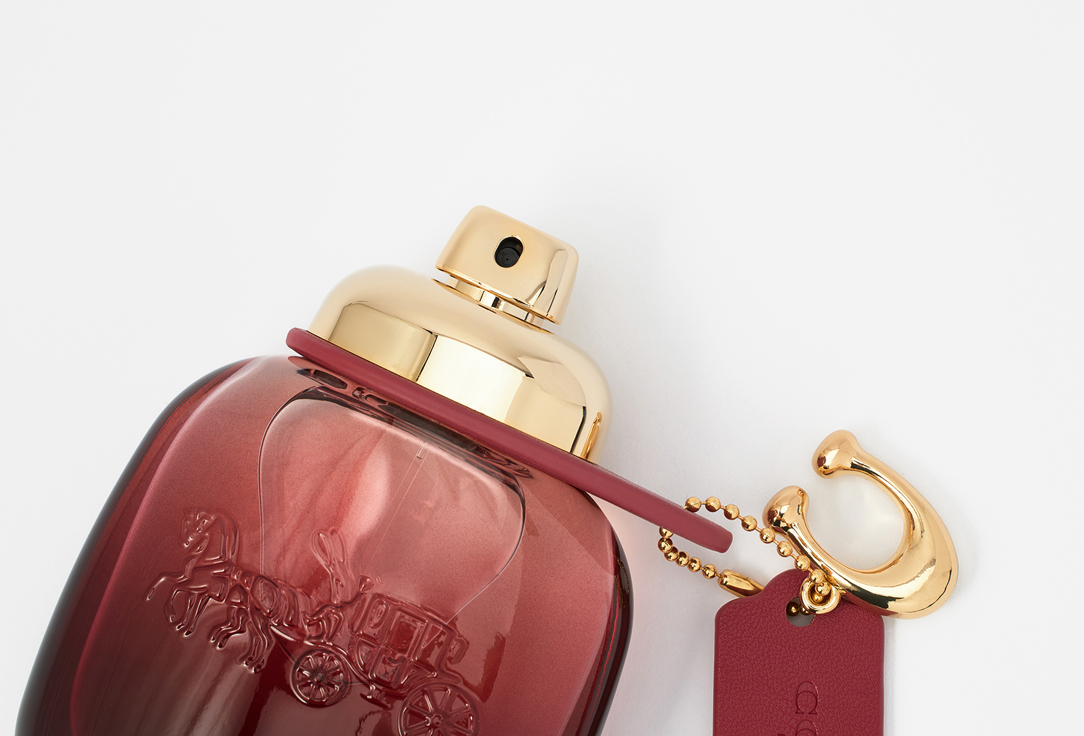 كوتش ماء عطر وايلد روز