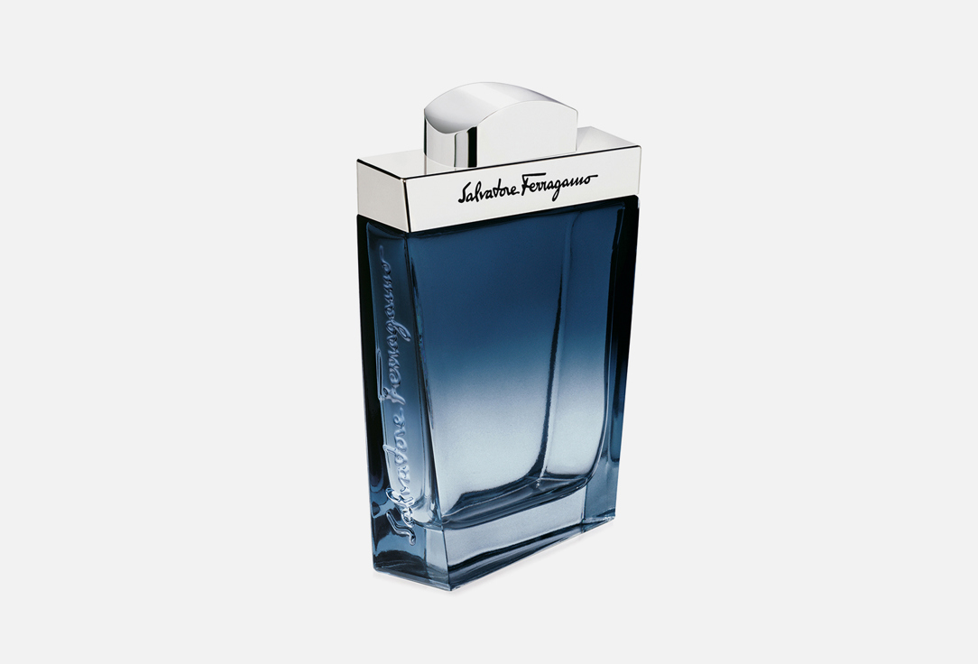 SALVATORE FERRAGAMO Eau de toilette Subtil pour homme