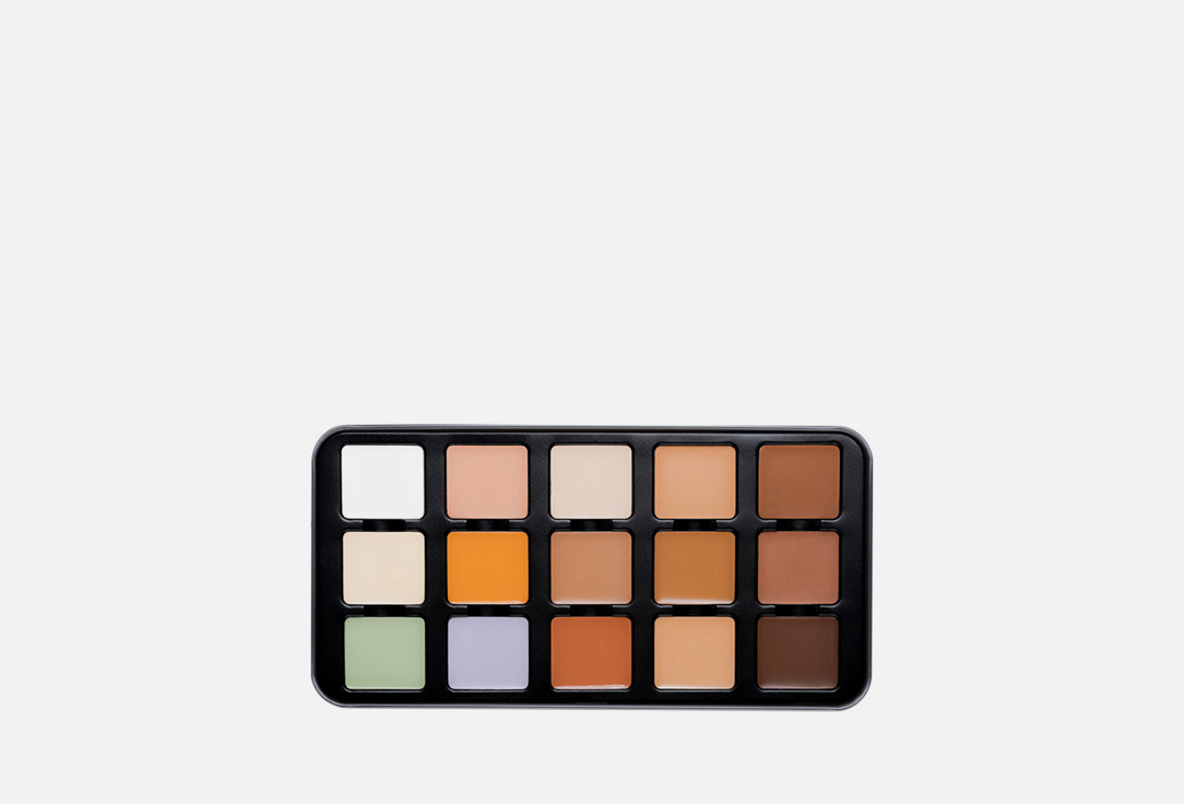 Character Concealer palette Pro