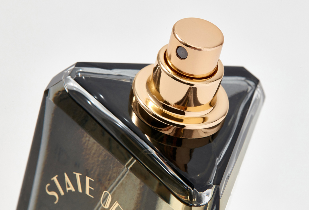ستيت أوف مايند ماء عطر سيكرت أوف سَكسِس