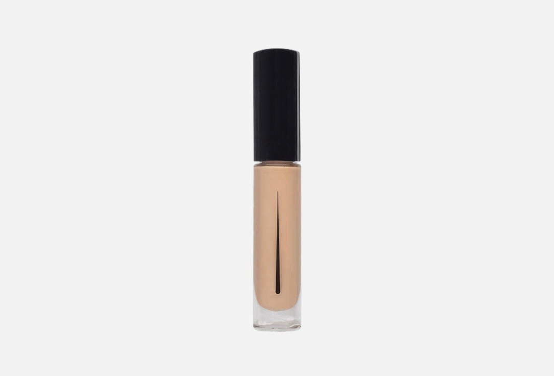 Radiant Professional Make-Up High Coverage Matte Concealer Natural Fix Extra Coverage