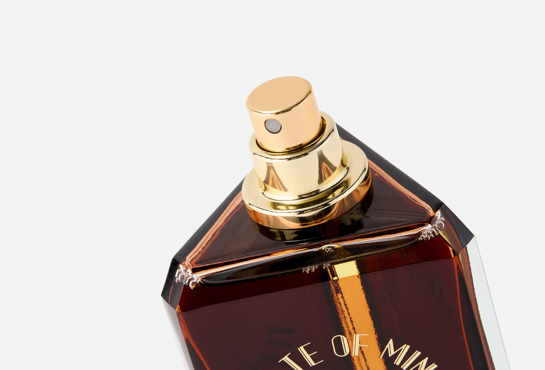 ستيت أوف مايند ماء عطر مودرن نوماد