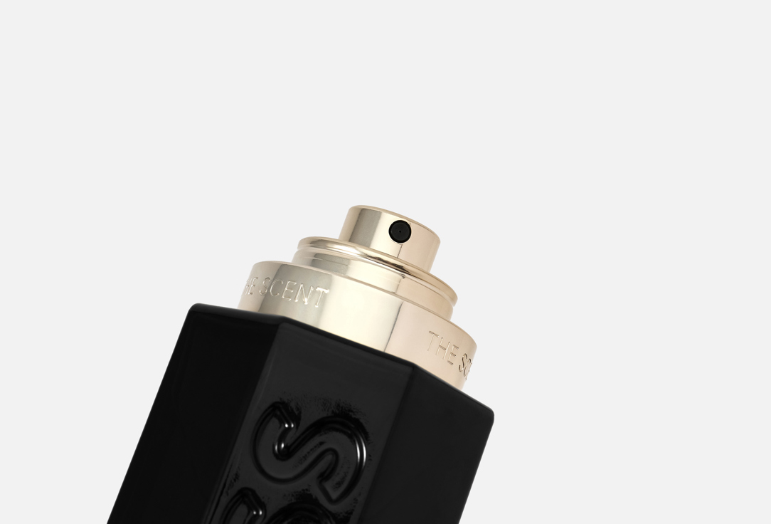 Hugo Boss Eau de Parfum The Scent Magnetic