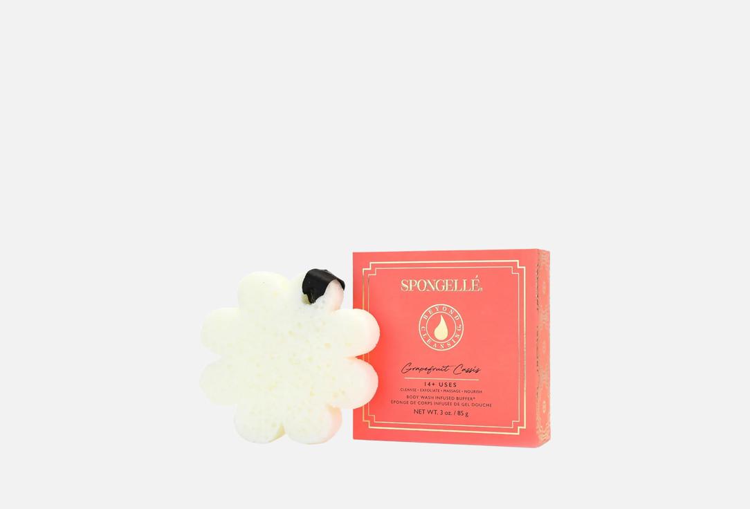Spongelle Body Wash Infused Buffer Daisy Collection Grapefruit Cassis Buffer 1 pcs Spongelle Body Wash Infused Buffer Daisy Collection Grapefruit Cassis Buffer