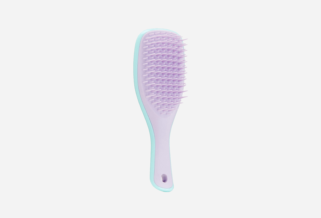 Tangle Teezer Hair Brush Mini Wet Detangler