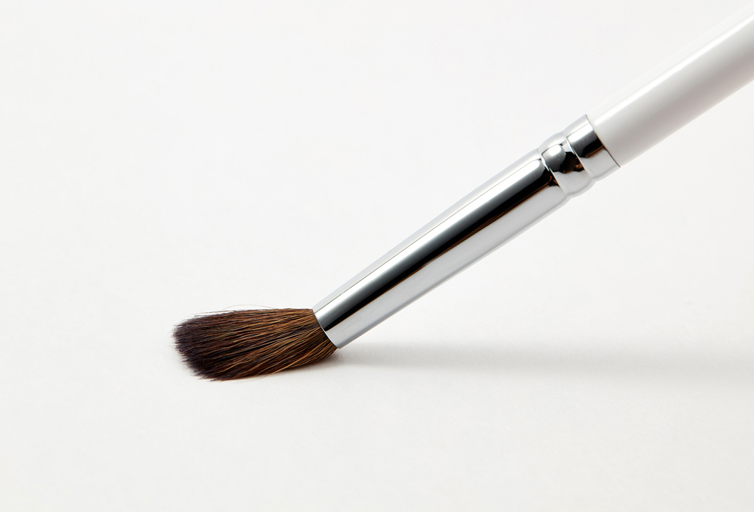 SHIK Eyeshadow & Eyeliner Brushe Makeup brush