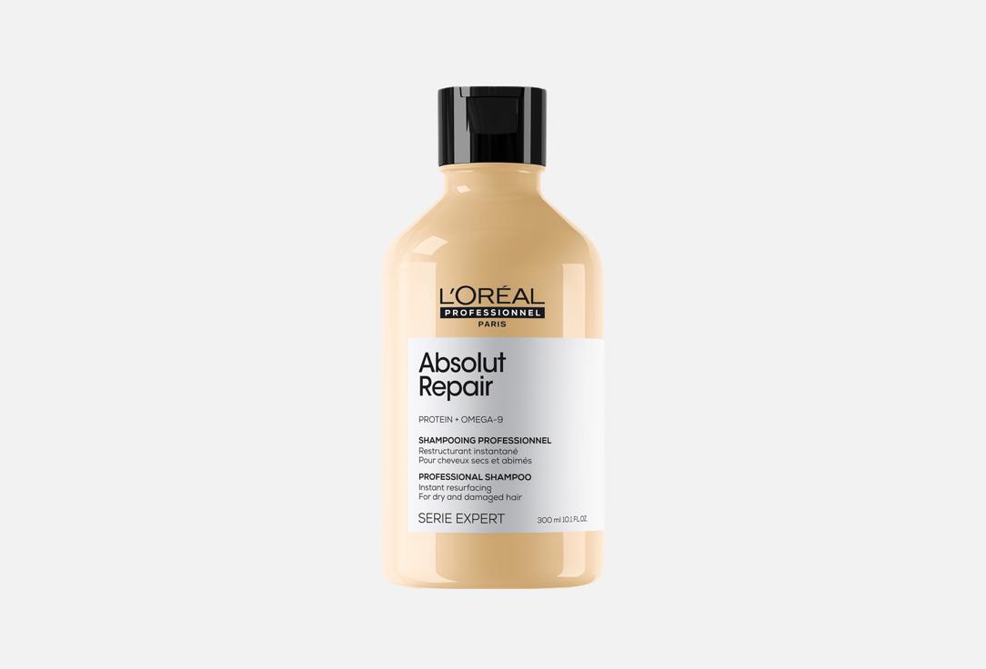 LOreal professionnel Shampoo for dry and damaged hair  Absolut Repair