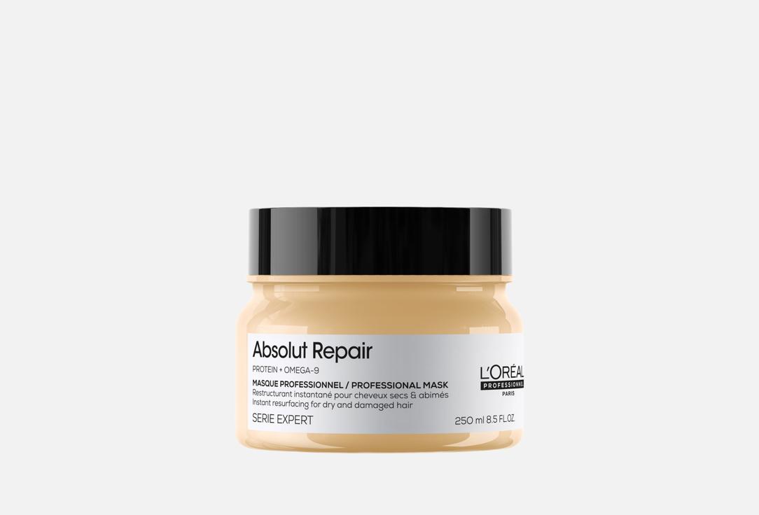 LOreal professionnel Hair Mask  for dry and damaged hair Absolut Repair