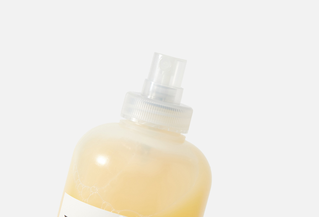 Davines Leave-In Conditioning Hair Mist DEDE